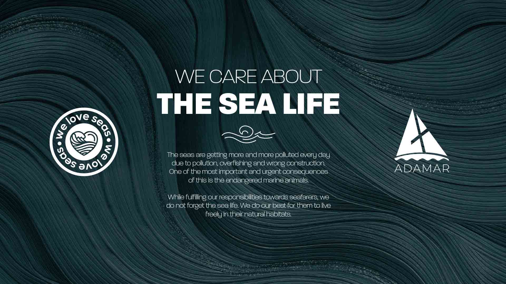 Adamar We Love Seas 2024 konsept takvim çalışması